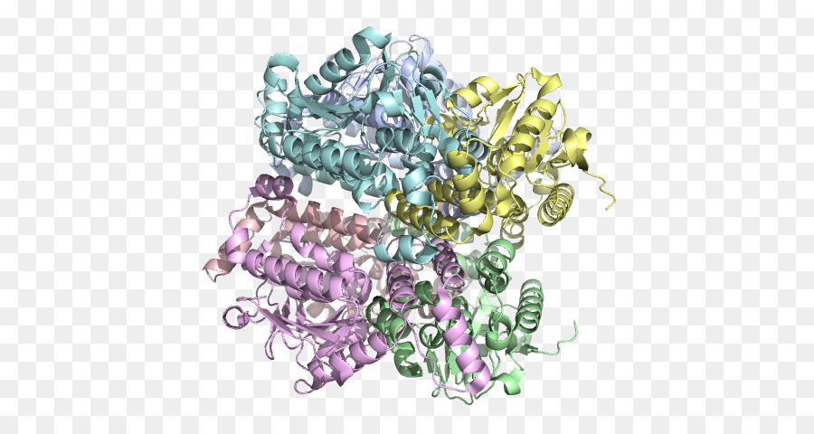 Struktur Protein，Molekul PNG