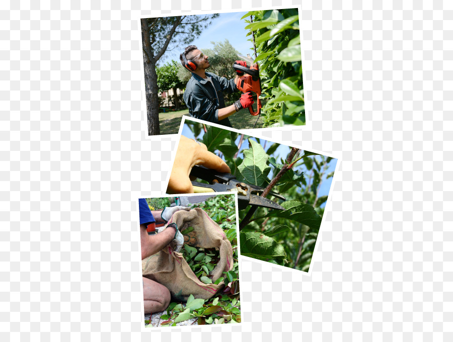 Tukang Kebun，Lindung Nilai PNG