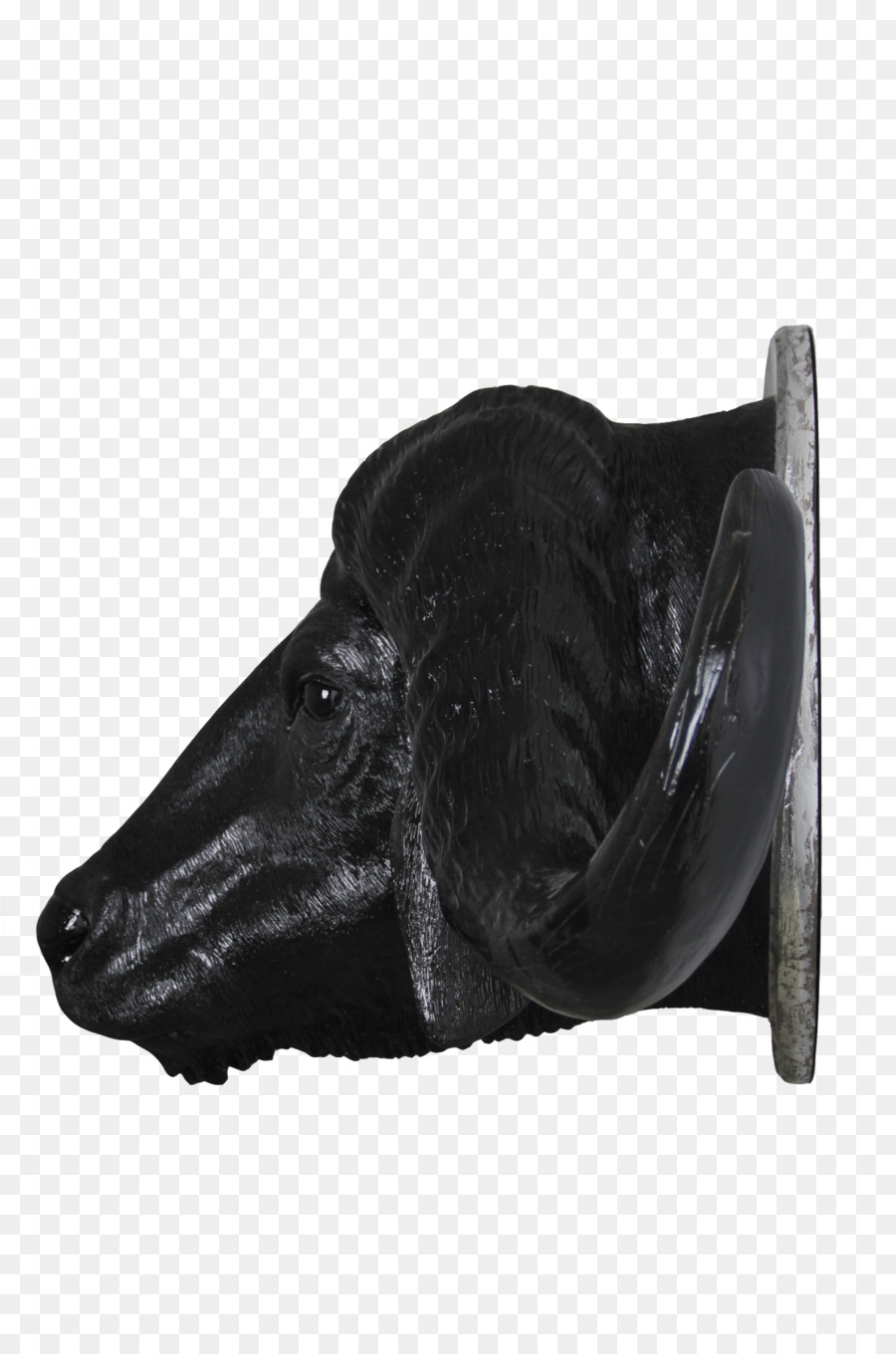 Sepatu，Moncong PNG