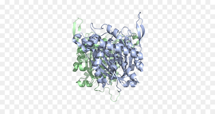 Struktur Protein，Molekul PNG