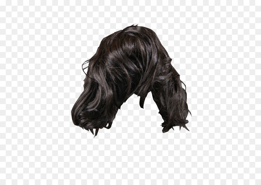 Wig，Rambut PNG