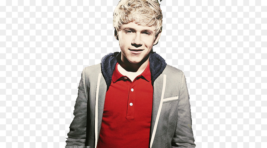 Niall Horan，X Faktor PNG