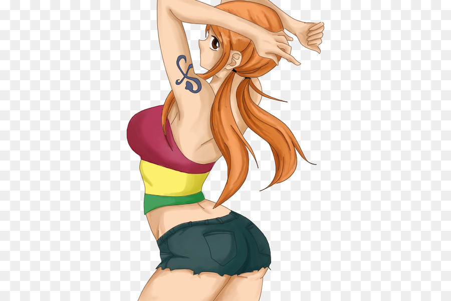 Nami Monyet  D Luffy Brook gambar  png