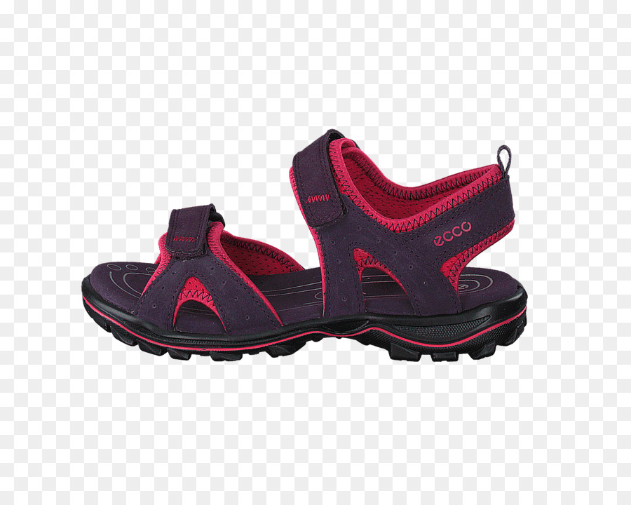 Sepatu，Sandal PNG