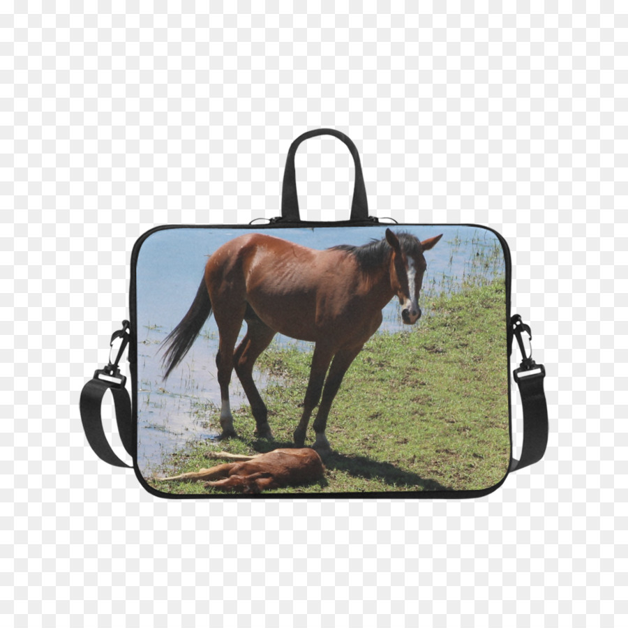 Laptop，Tas PNG