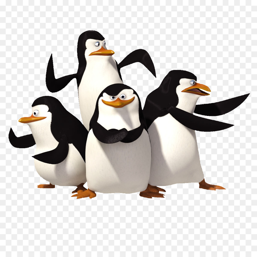 Penguin，Antartika PNG