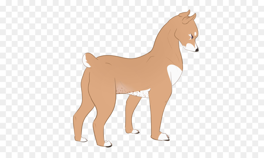 Anjing，Mustang PNG