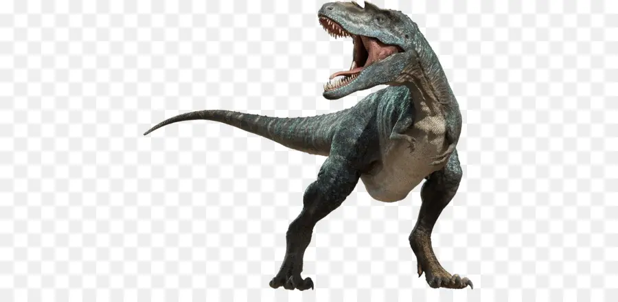 T Rex，Gigi PNG