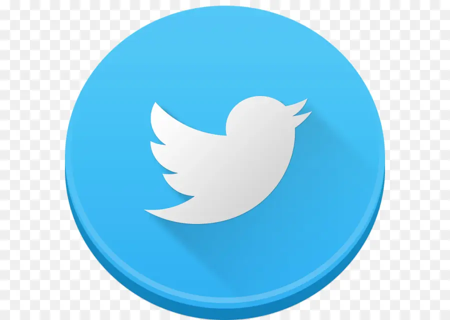 Logo Twitter，Media Sosial PNG