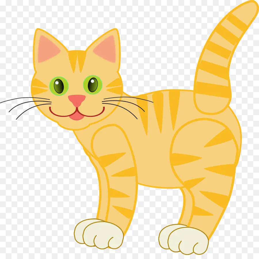 Kucing，Kumis PNG