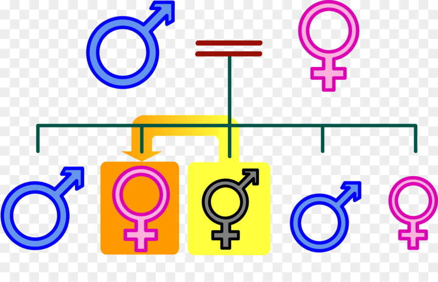 Simbol Gender，Pria PNG