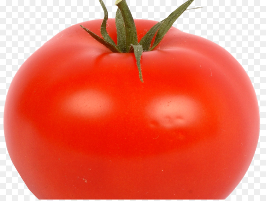 Tomat Plum，Bush Tomat PNG