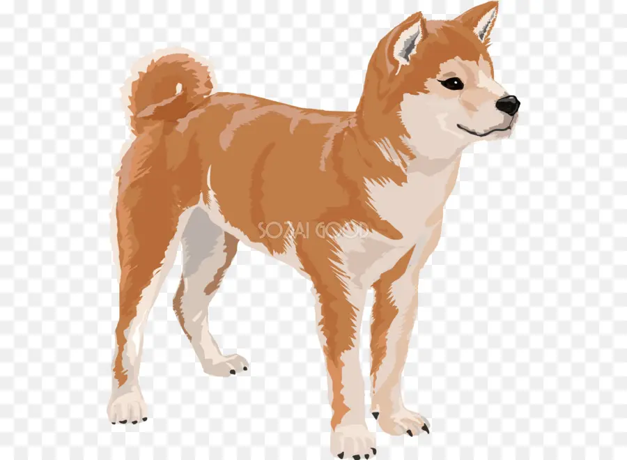 Dingo，Liar PNG