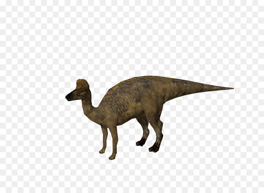 Velociraptor，Corythosaurus PNG