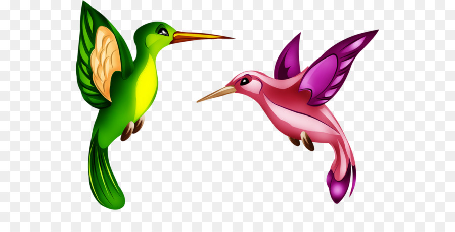Fauna，Hummingbird M PNG