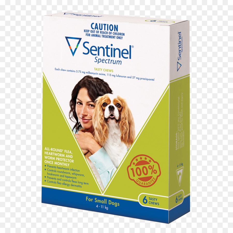 Anjing，Heartworm PNG