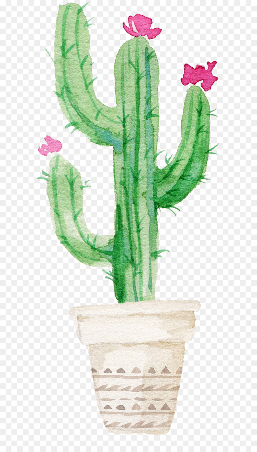 25 Inspirasi Keren Lukisan  Aesthetic Kaktus  Pantherrka