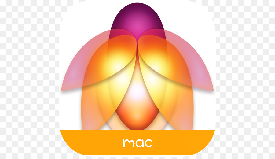 App Toko，Apple PNG