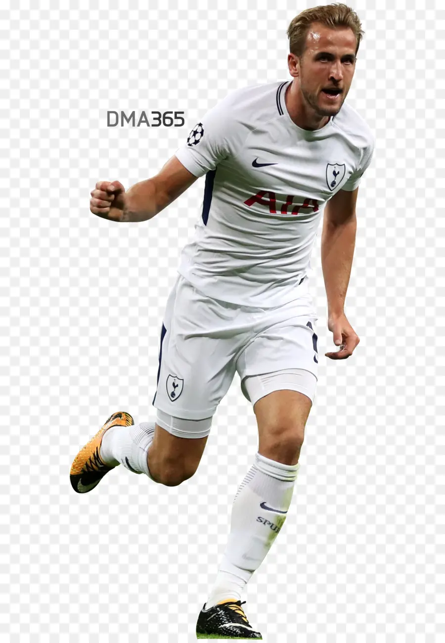 Harry Kane，Tottenham Hotspur Fc PNG
