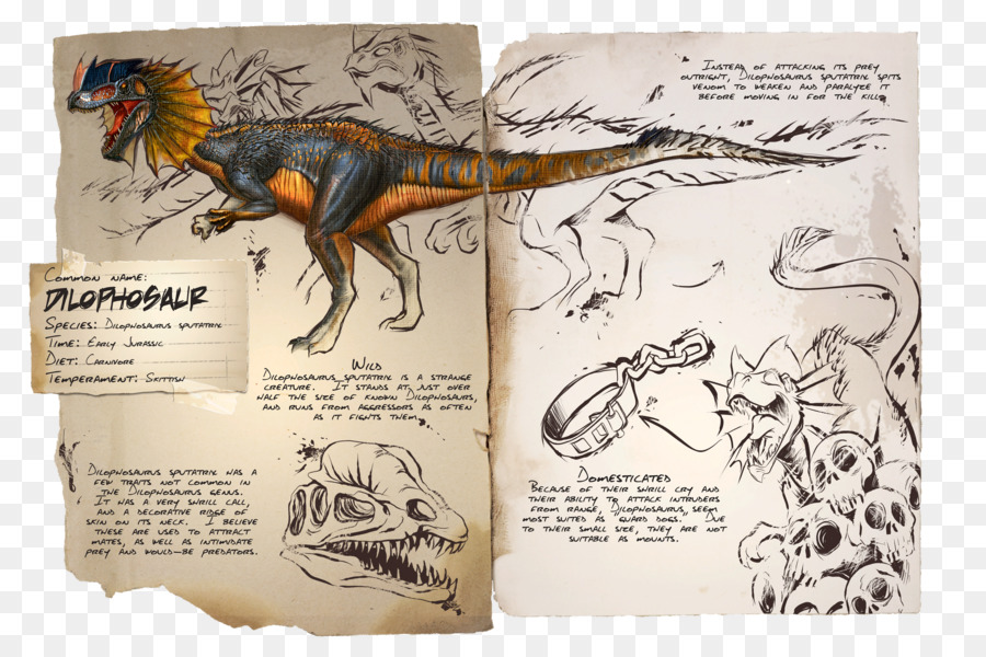 Dinosaurus，Ilustrasi PNG