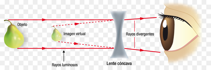 Diagram Lensa Cekung，Lensa PNG