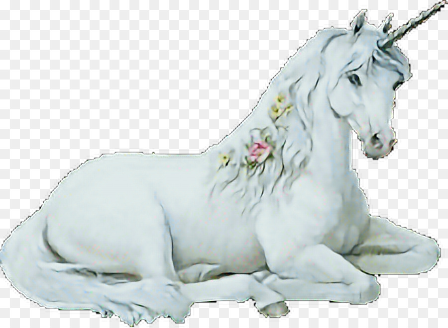 Unicorn Putih，Mitos PNG