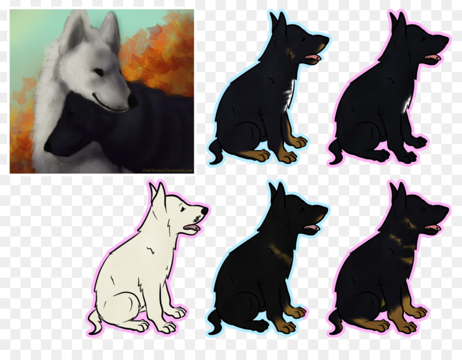 Schipperke，Anjing Berkembang Biak PNG