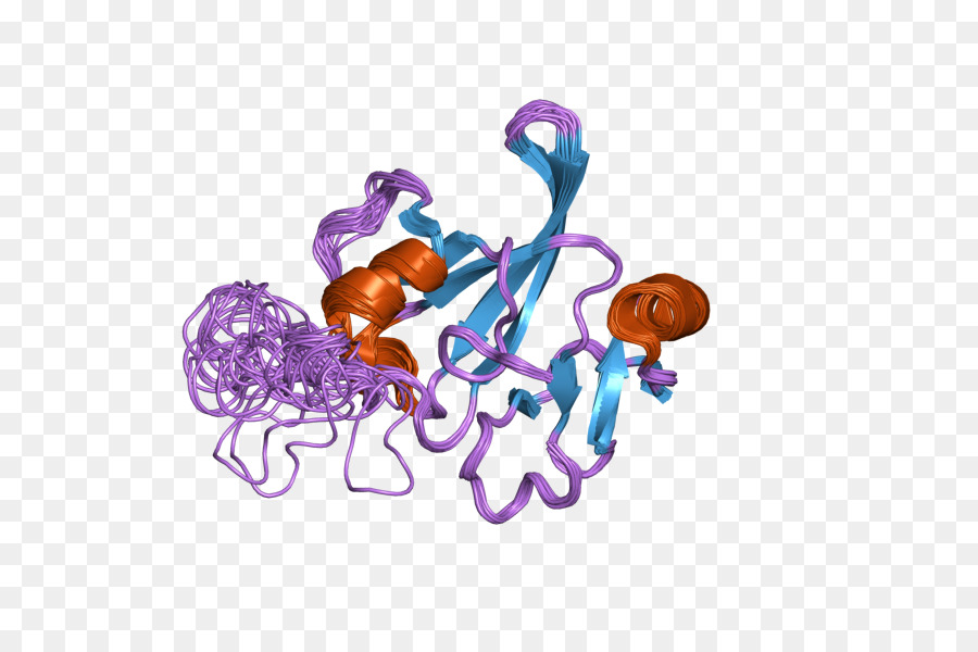 Struktur Protein，Molekul PNG