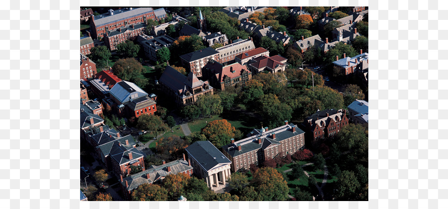 Brown University，Ryerson University PNG