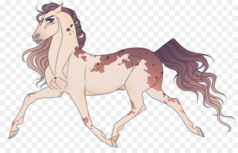 Surai，Pony PNG