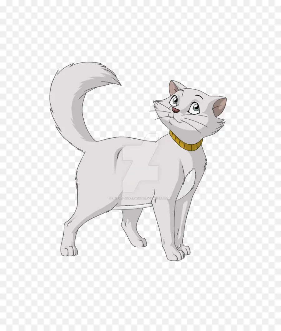 Kucing Kartun，Animasi PNG