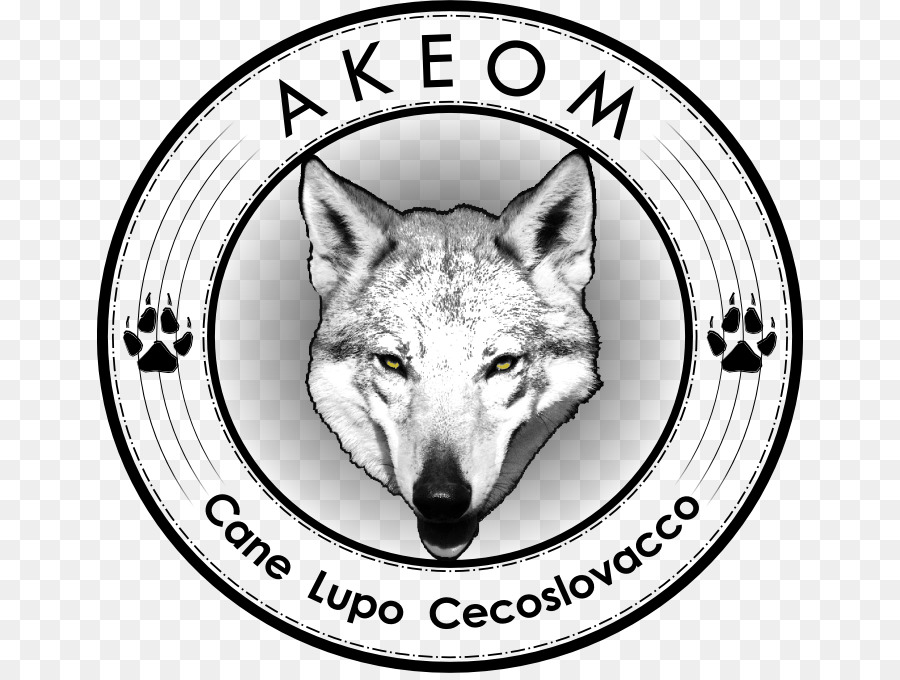 Cekoslowakia Wolfdog，Italia PNG