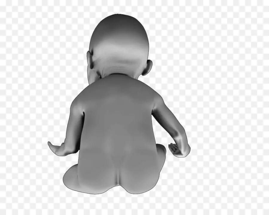 Model Bayi 3d，Bayi PNG