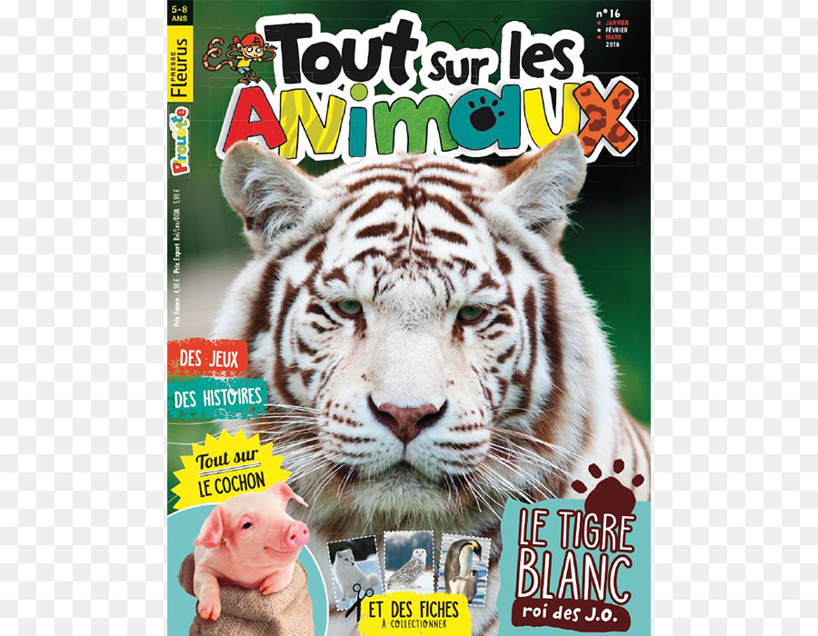 Majalah，Harimau Putih PNG