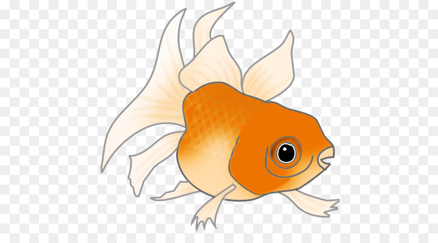 Ikan，Akuatik PNG