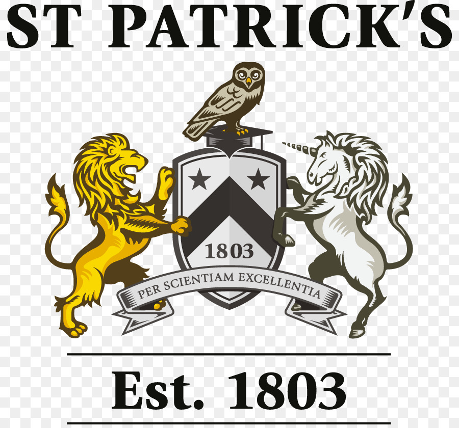 St Patrick S College London，London School Of Bisnis Dan Keuangan PNG