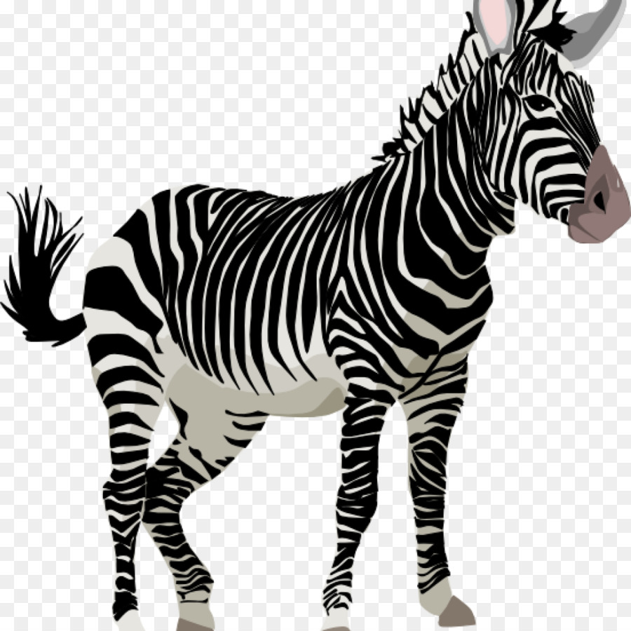 Zebra，Garis Garis PNG