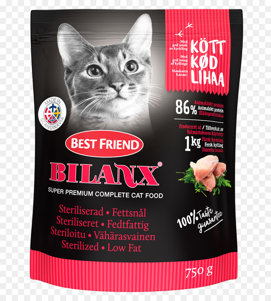 Kucing，Makanan Kucing PNG