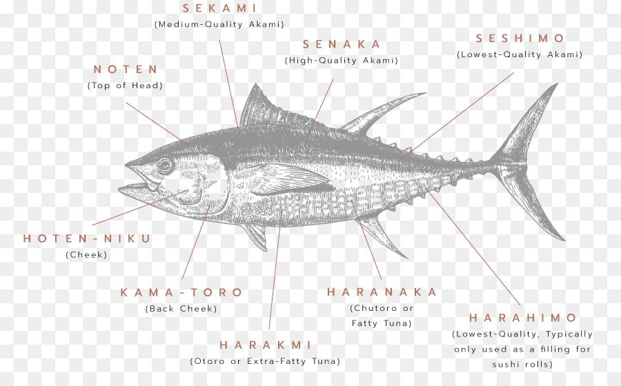 Diagram Tuna，Ikan PNG