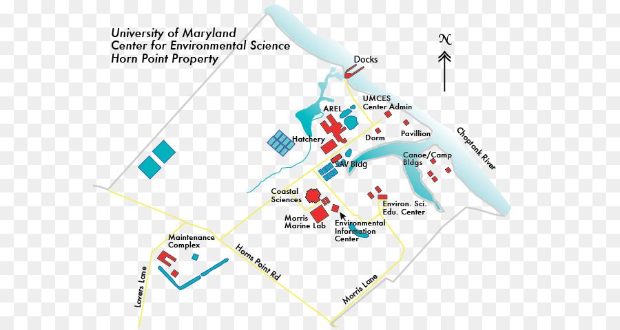 Cambridge，Laboratorium Titik Tanduk Universitas PNG