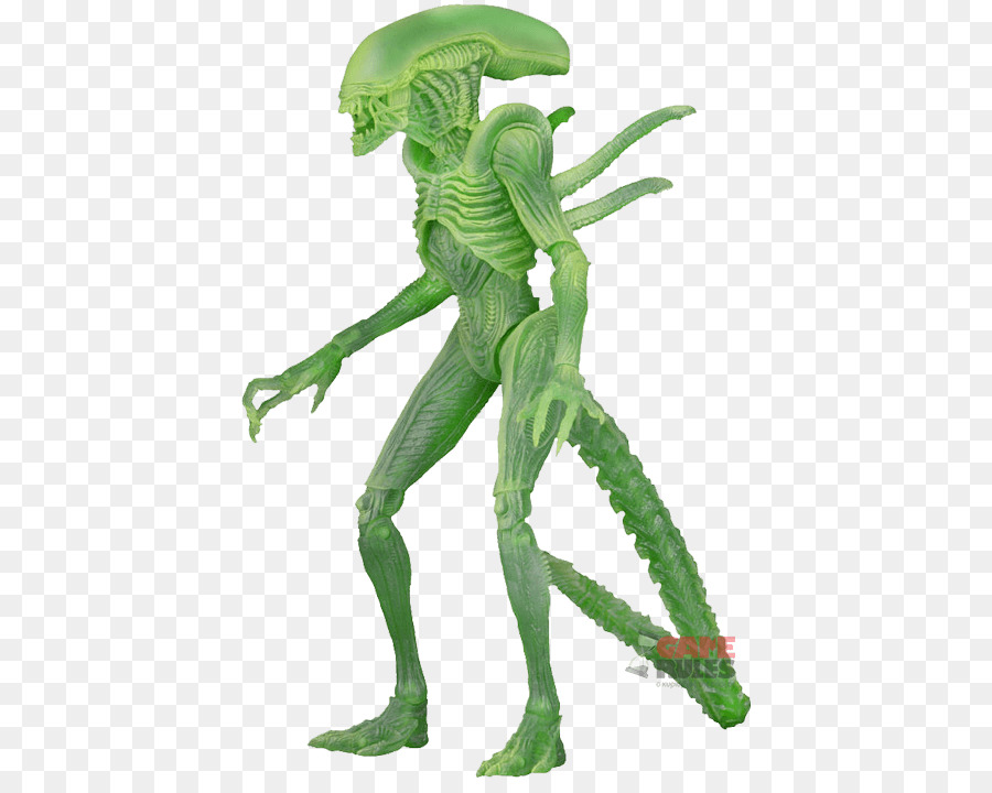 Predator，Alien PNG