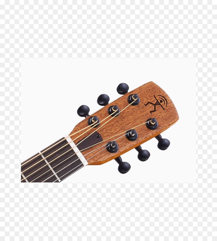 Headstock Gitar，String PNG