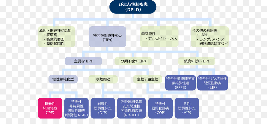 Flow Chart，Dpld PNG