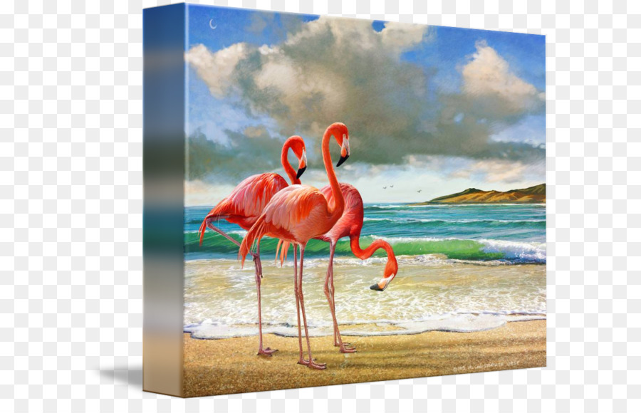 Kanvas Cetak，Flamingo PNG