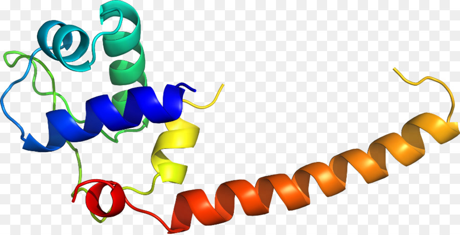 Heliks Protein，Molekul PNG