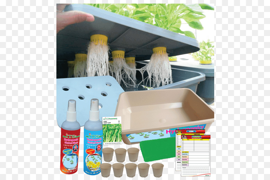 Hidroponik，Aquaponics PNG