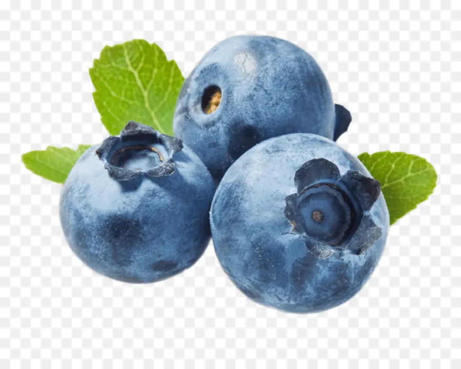 Blueberry，Buah PNG