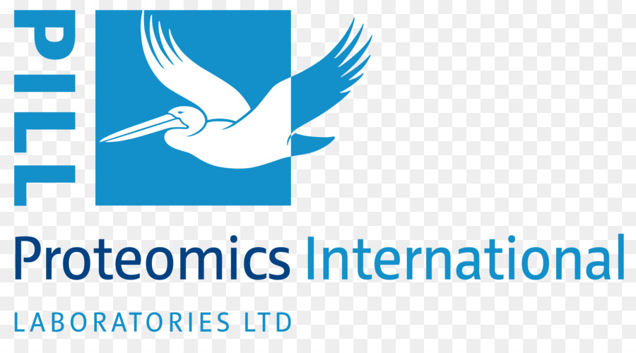 Logo，Proteomik Internasional PNG