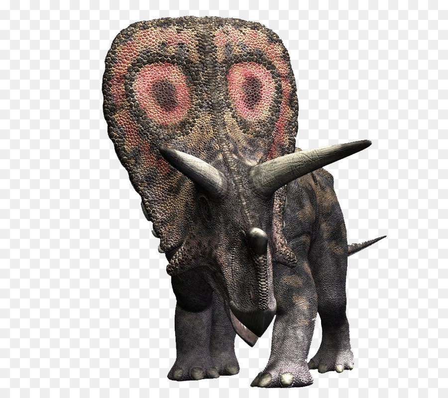 Torosaurus，Triceratops PNG