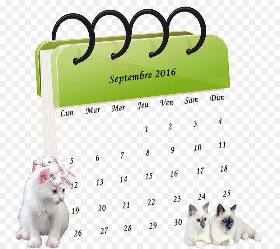 Kalender，Conférenceatelier PNG